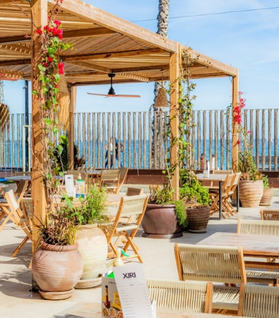 Terraza Passeig Mare Nostrum – Barcelona